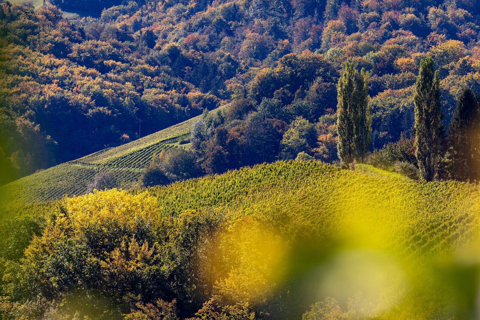 Perché vale la pena una visita autunnale