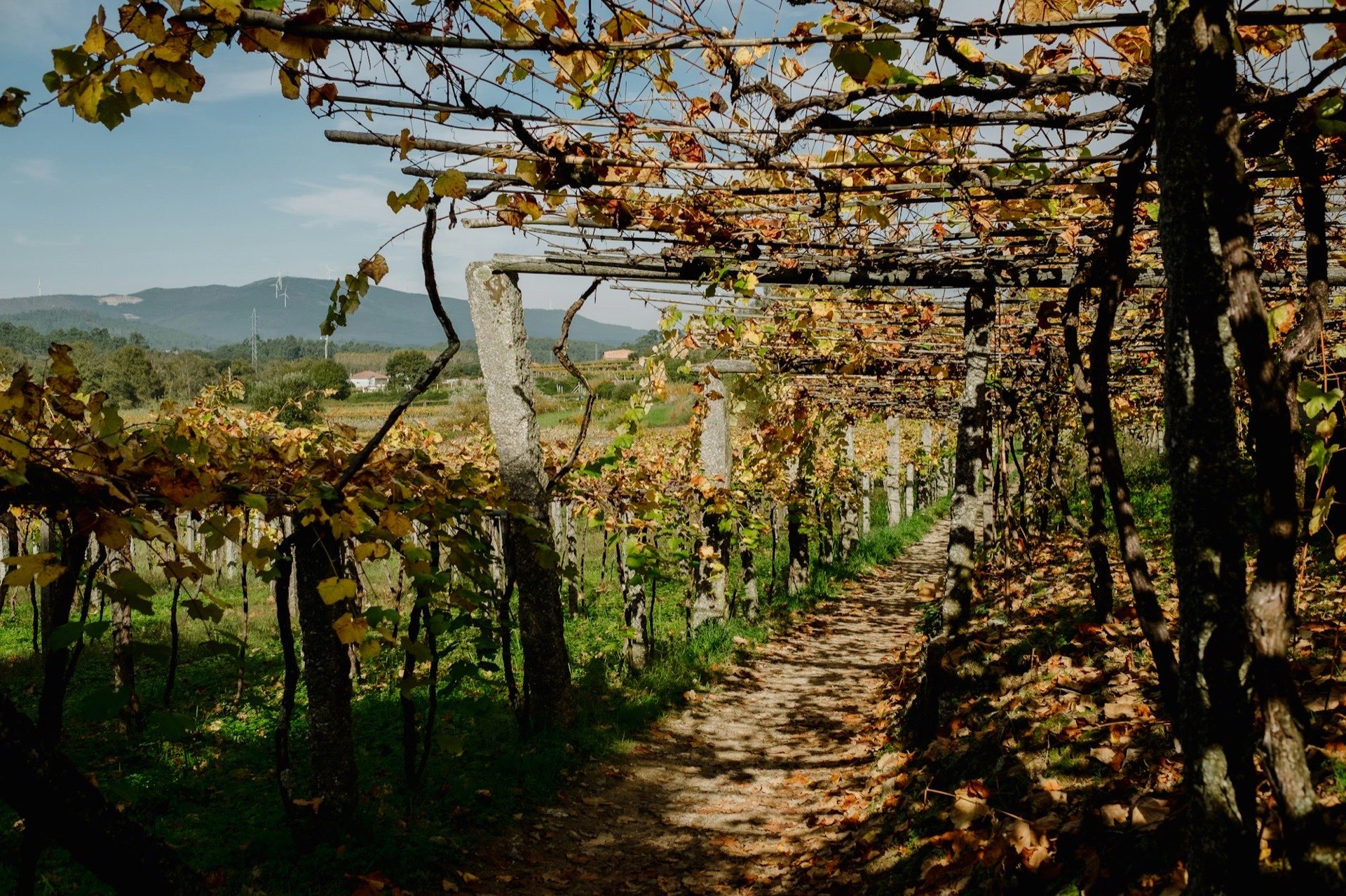 Hiking & Walking in West Styria
