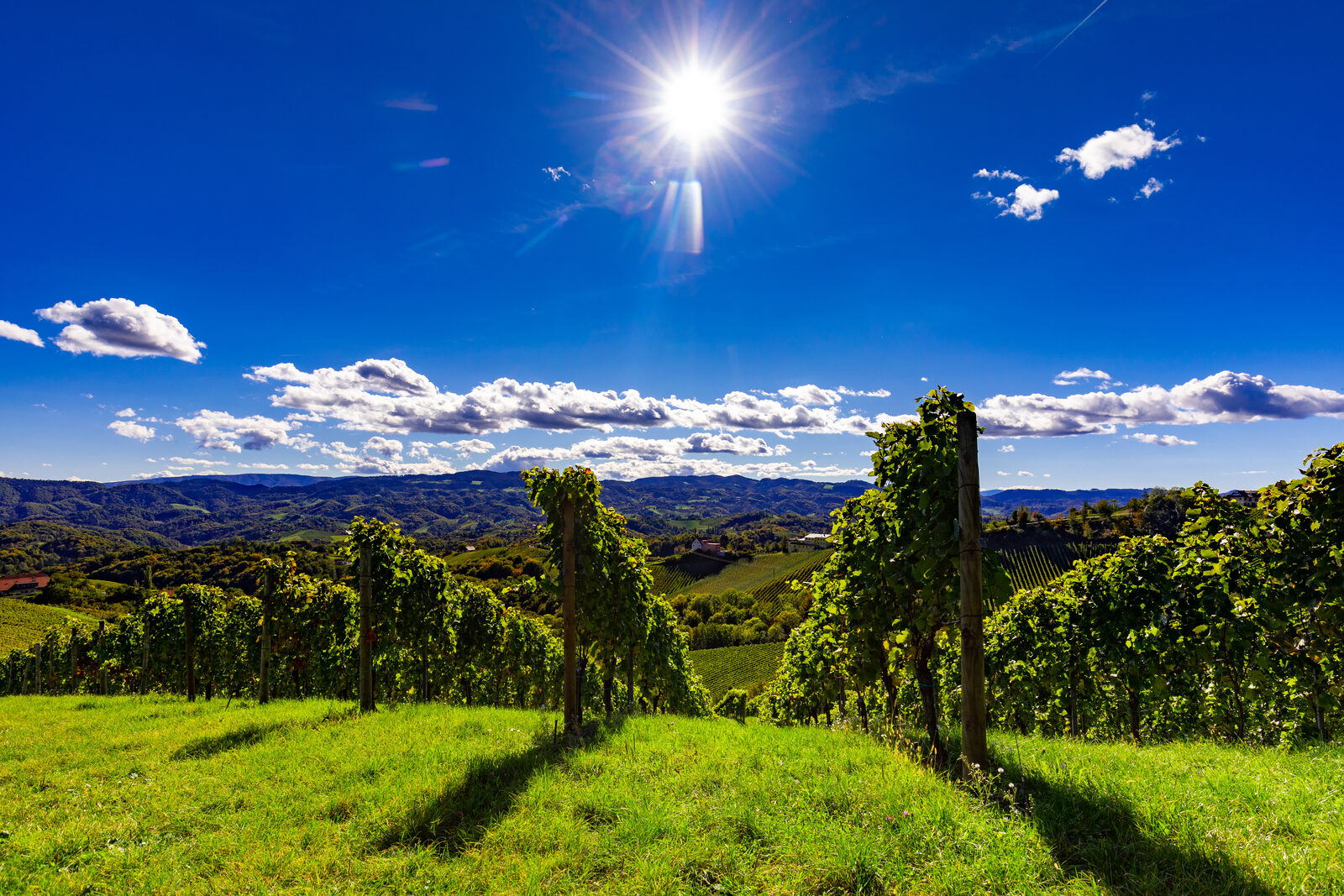 Klapotetz in der Sonne über den steirischen Weinbergen