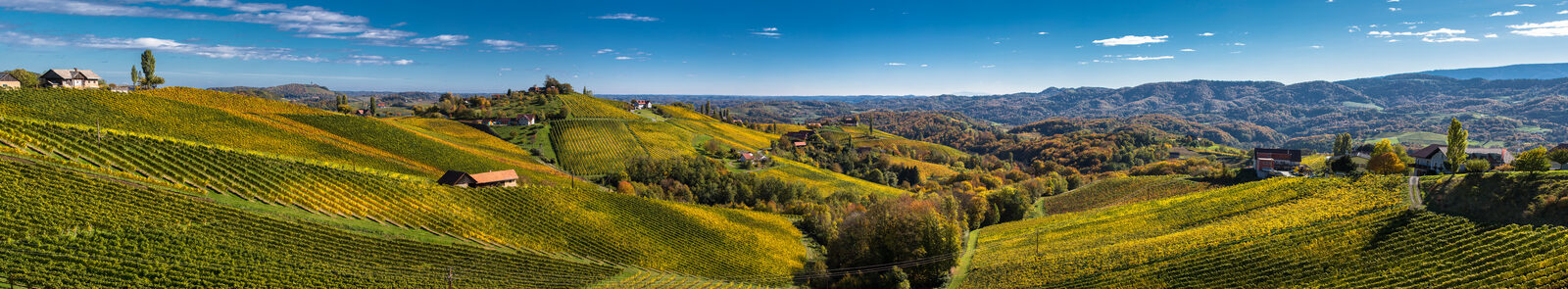 Panoramablick über die Weinhügel der Steiermark