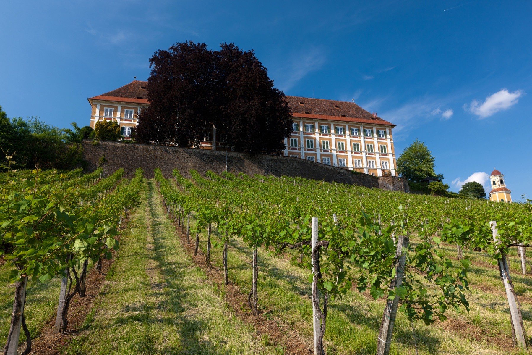 The Region: West Styria Instead of an Alpine Backdrop